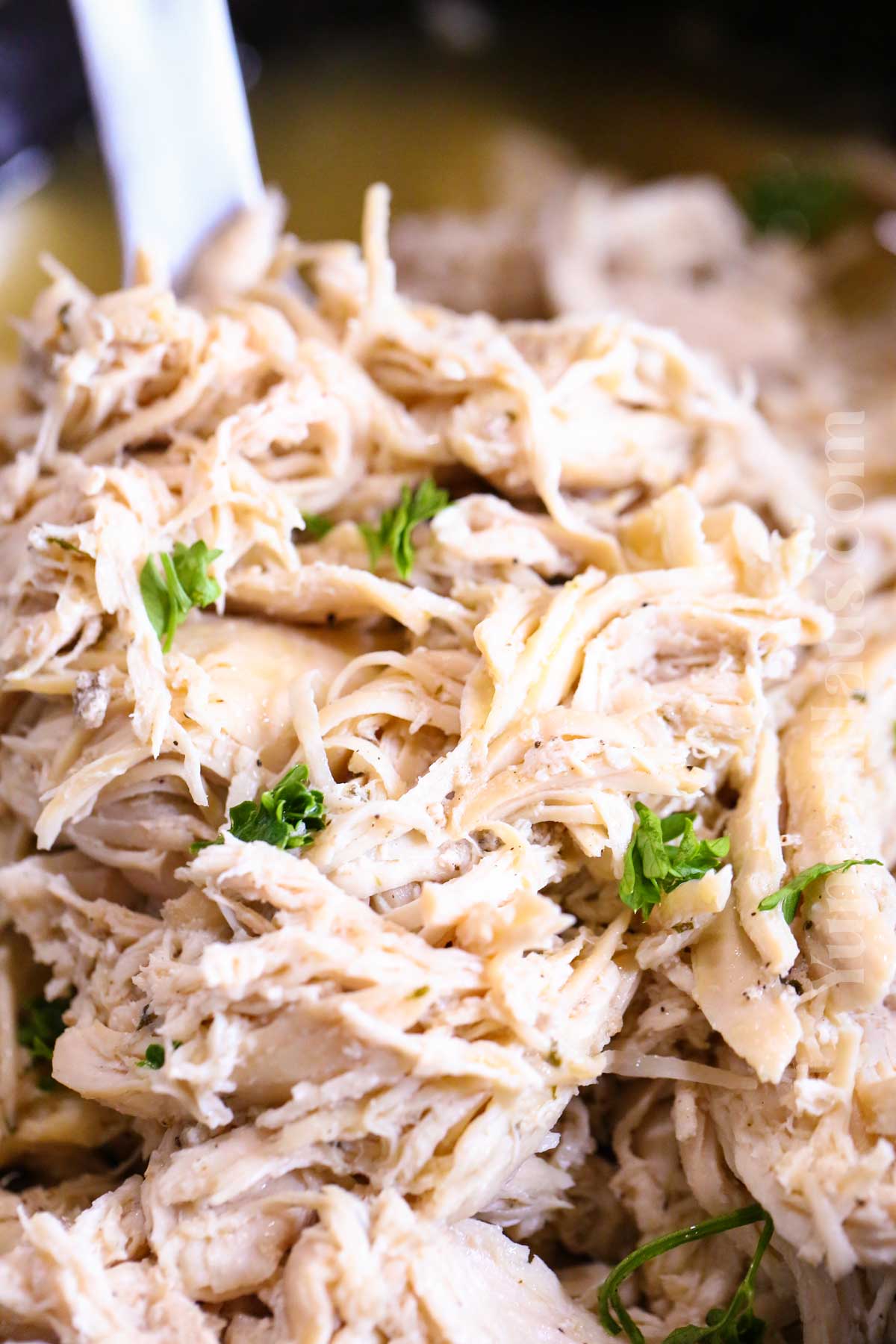 Easy Pulled Chicken