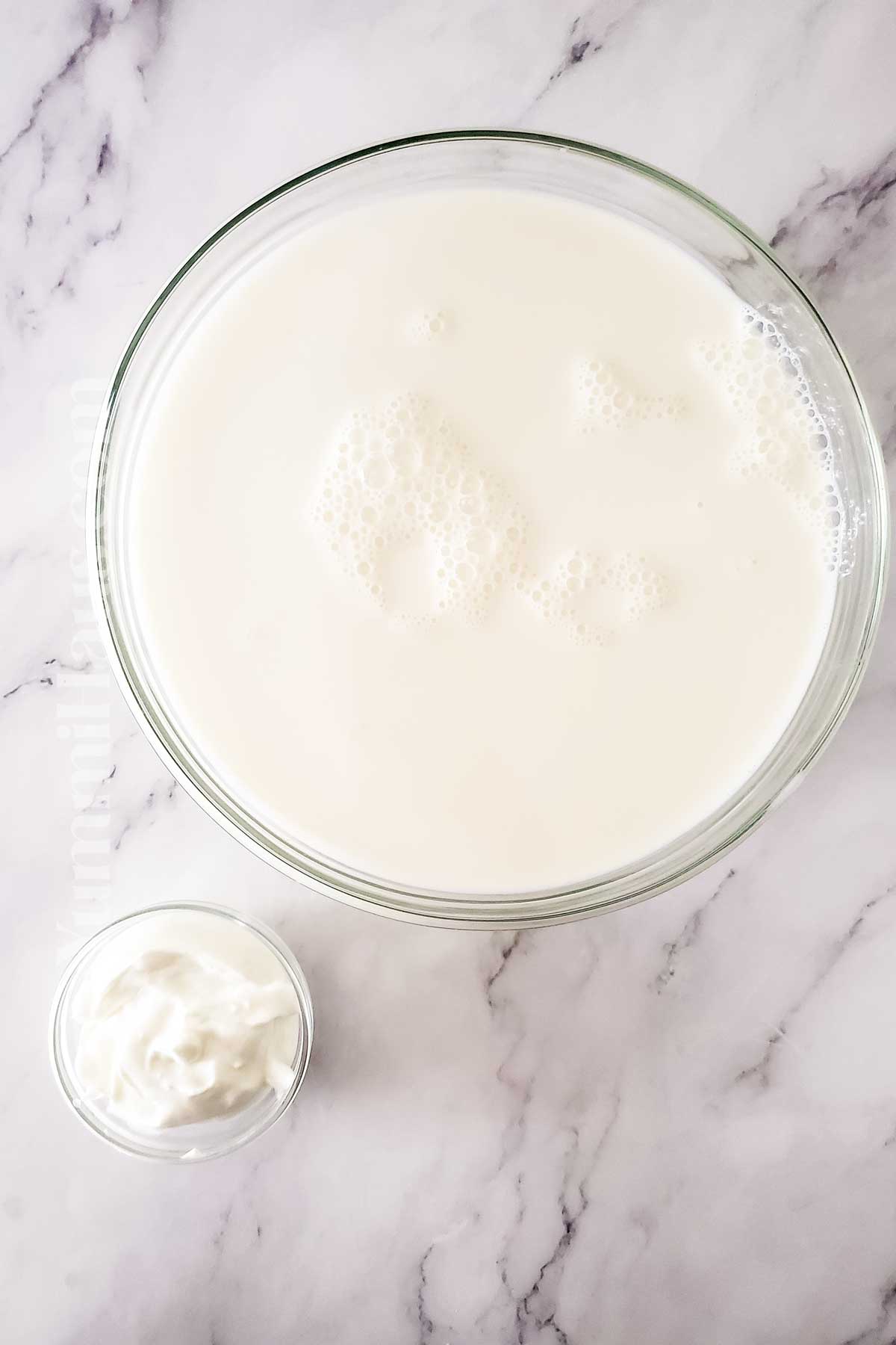 Slow Cooker Yogurt ingredients