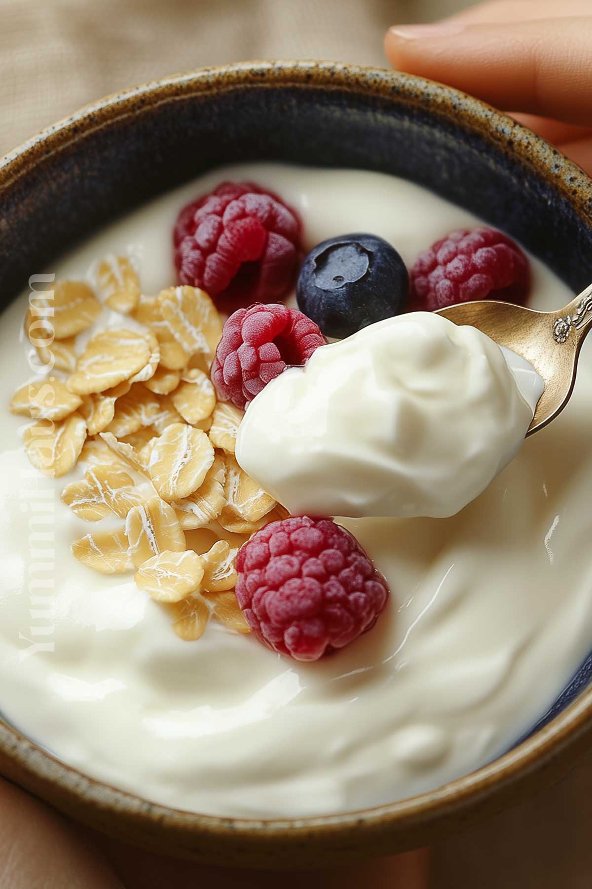 simple crockpot yogurt recipe