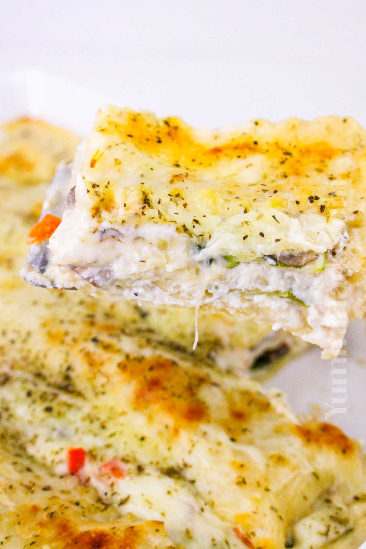 Vegetable Lasagna in White Sauce