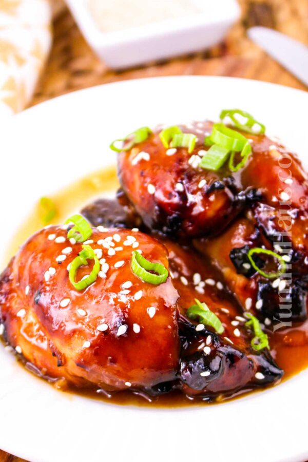 Air Fryer Teriyaki Chicken