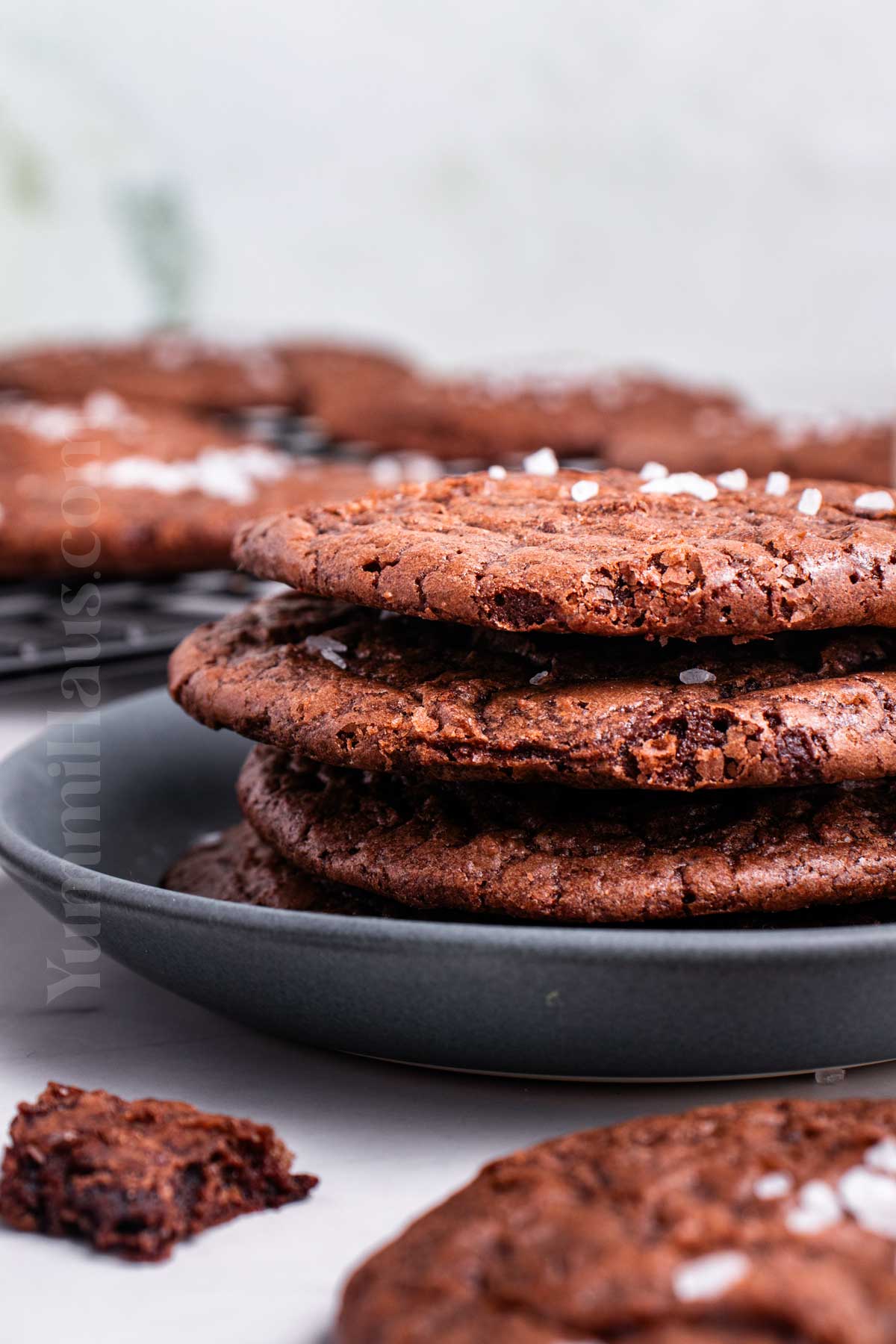 stack of chocolate cookies