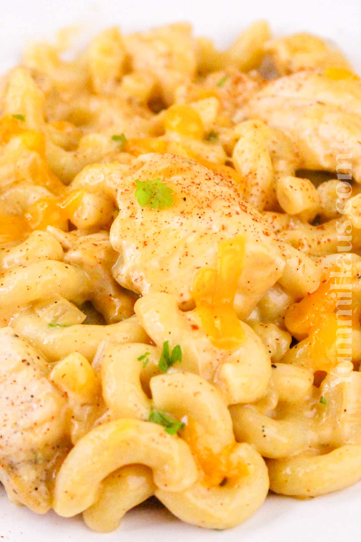 Chicken Macaroni and Cheese recipe