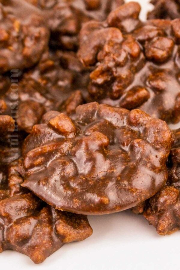 Chocolate Pralines