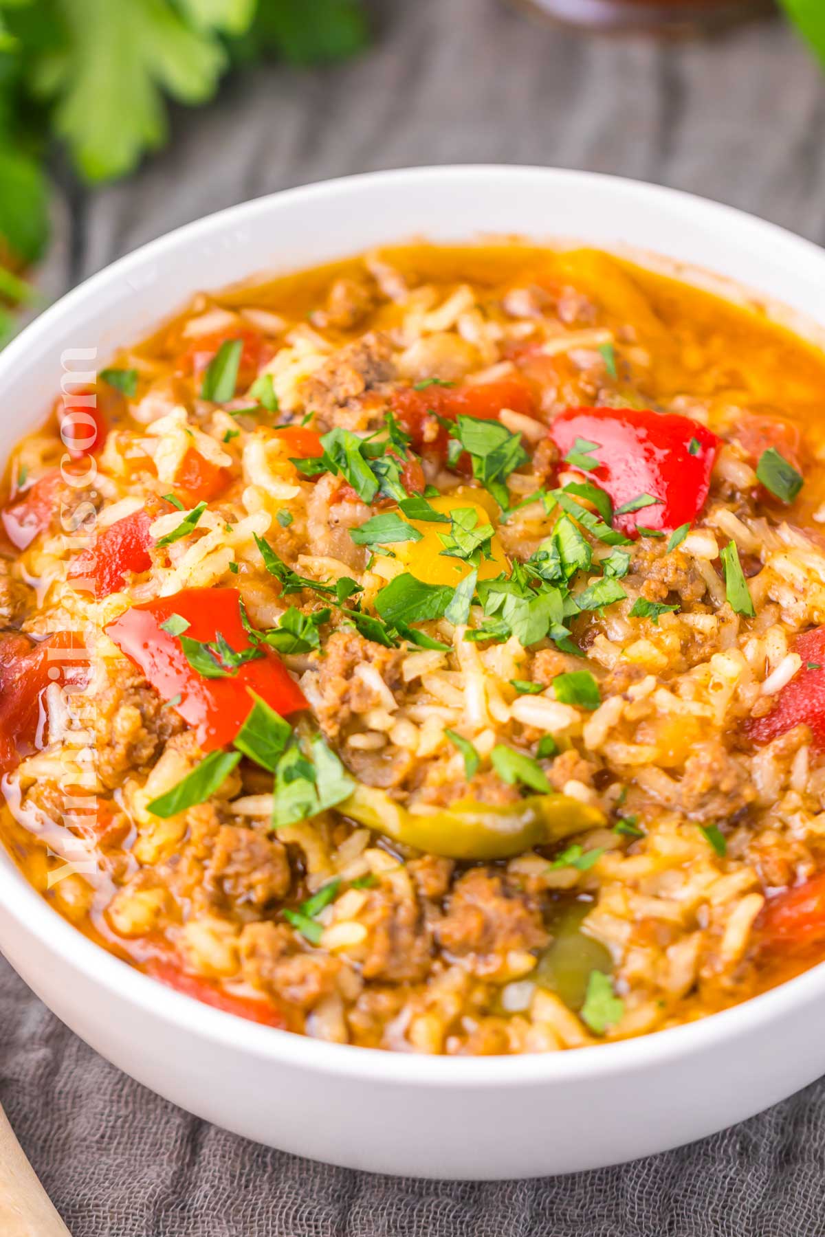 Stuffed Pepper Soup recipe