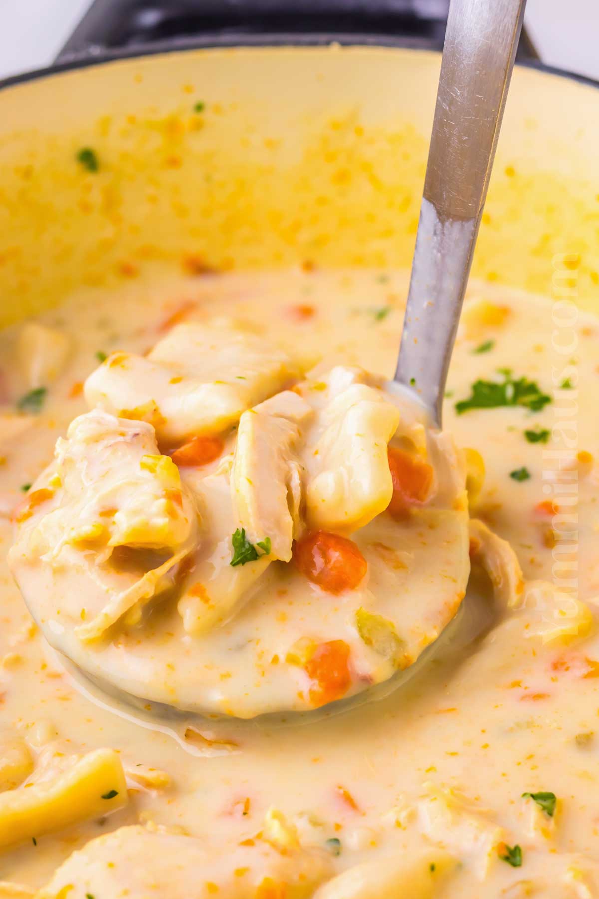 Chicken and Dumplings Soup