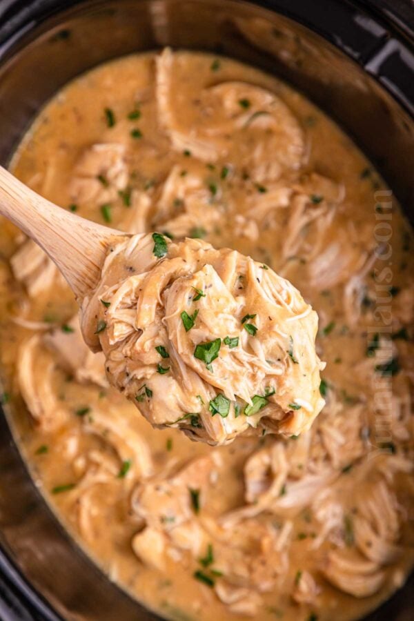 Chicken and Gravy in the Crockpot