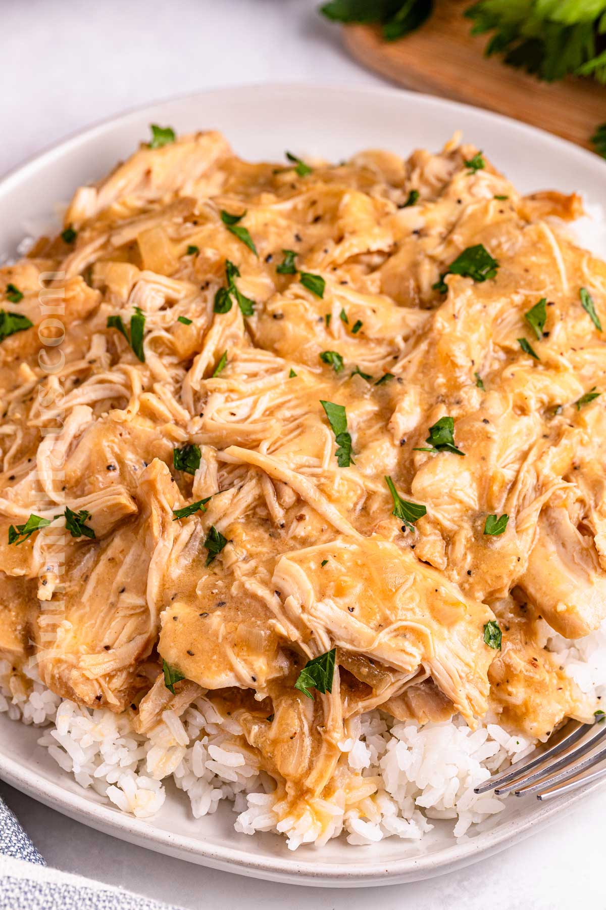 Chicken and Gravy in the Slow Cooker