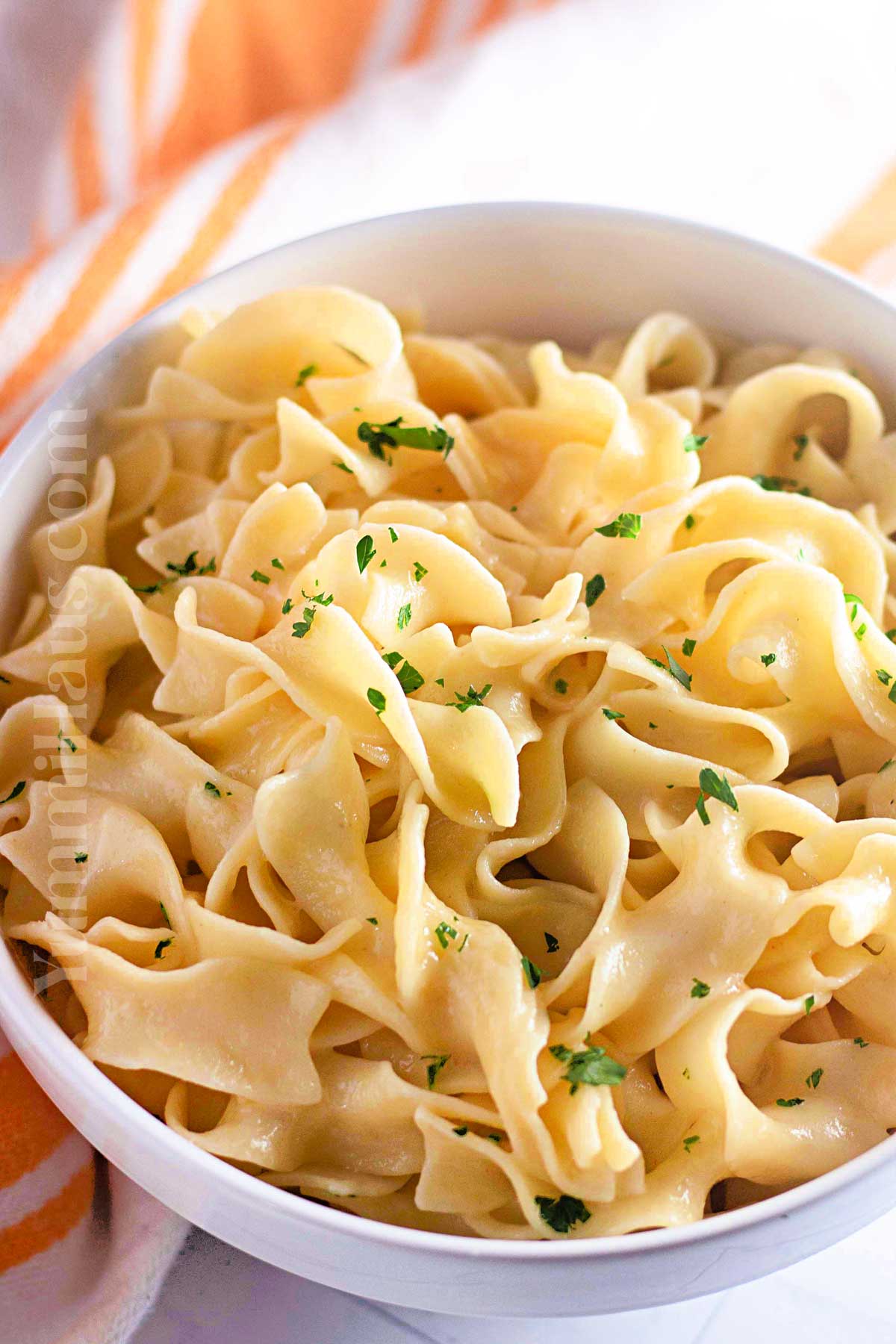 cooked egg noodles