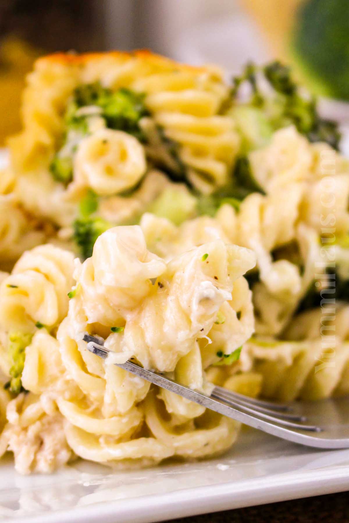 Chicken Broccoli Alfredo Bake