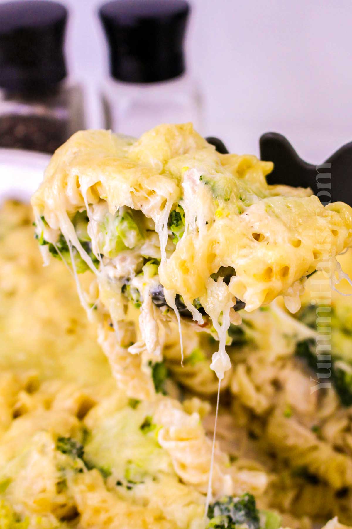 Chicken Broccoli Alfredo Bake recipe