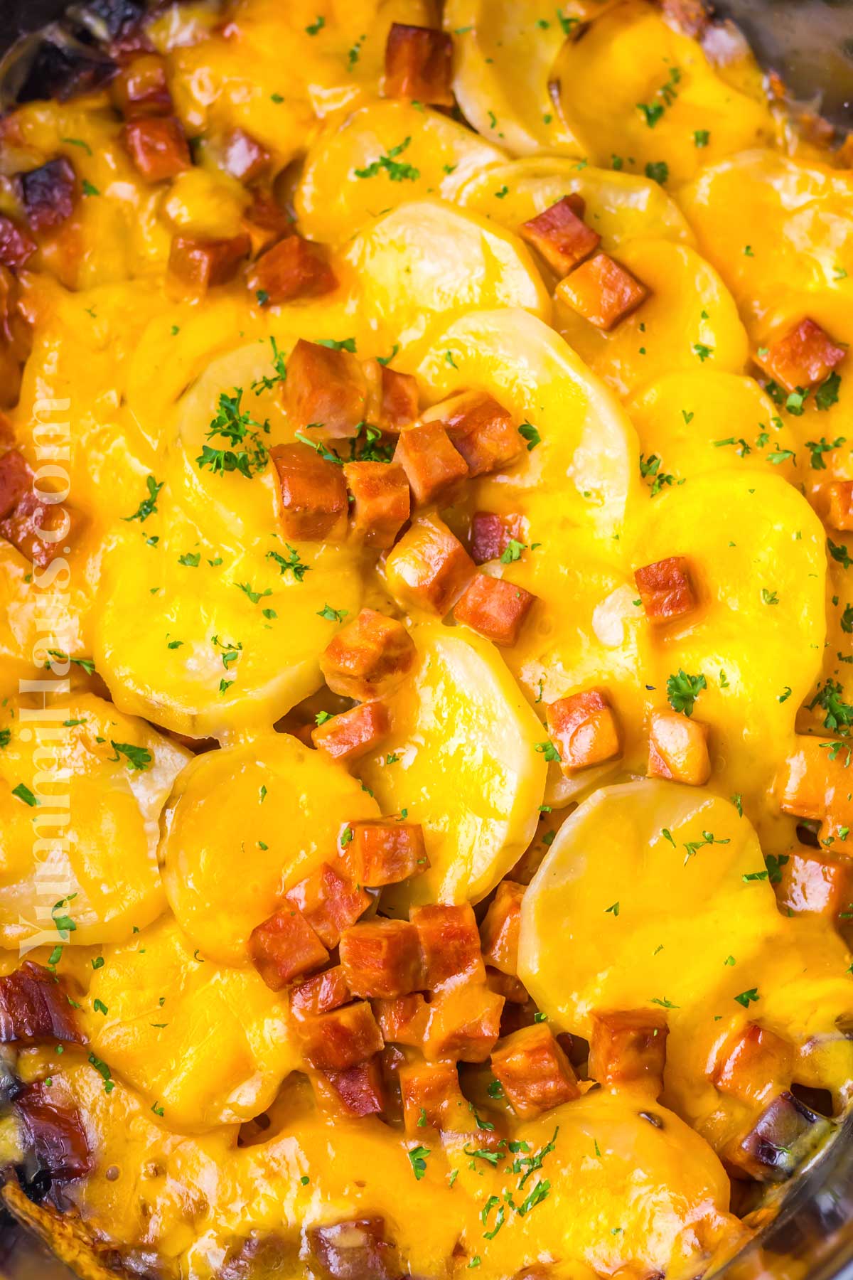 crockpot Scalloped Ham and Potatoes